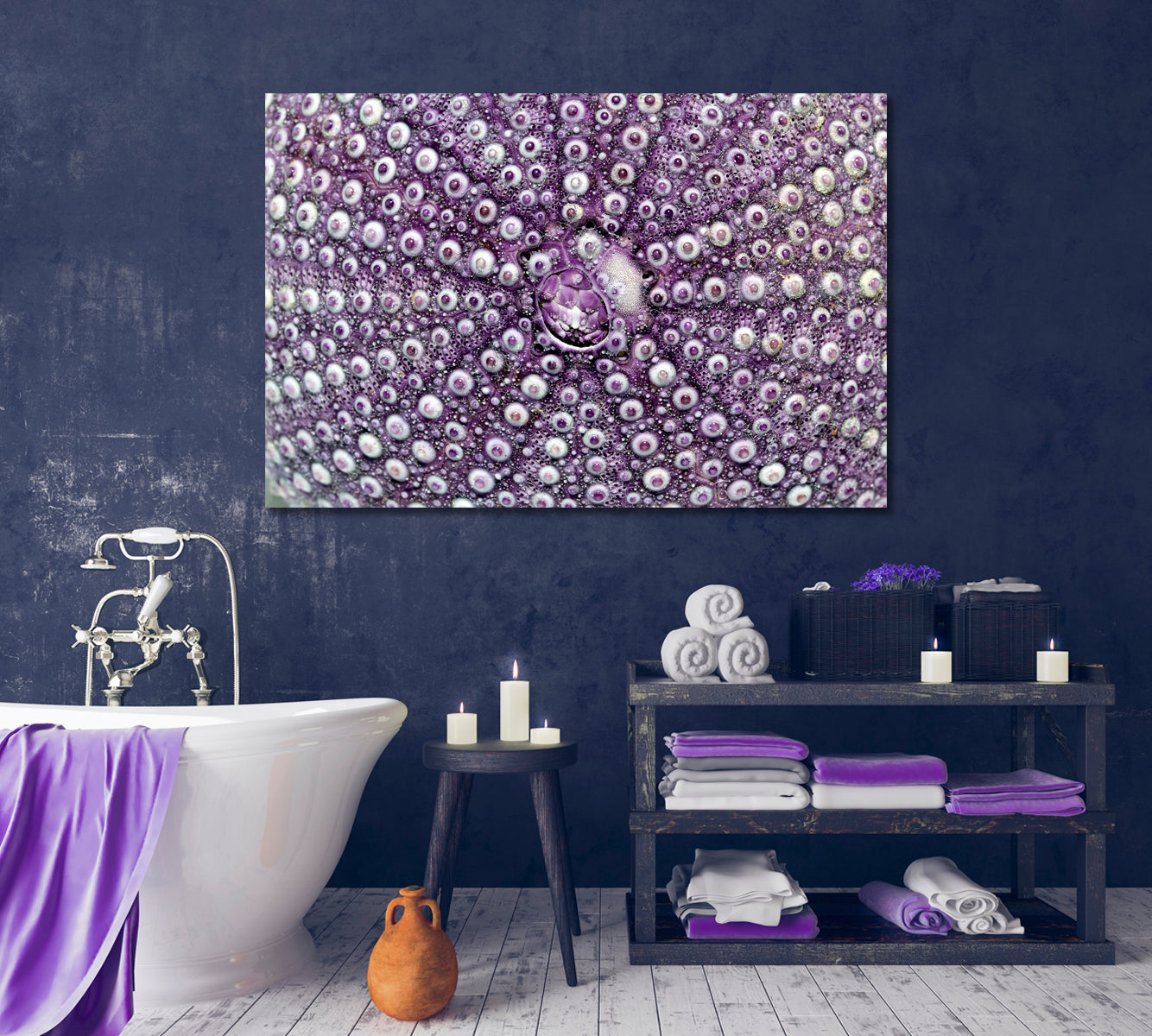 Violet Sea Shell Echinoidea Canvas Print-Canvas Print-CetArt-1 Panel-24x16 inches-CetArt