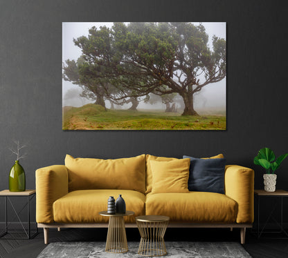 Beautiful Trees in Fog Canvas Print-Canvas Print-CetArt-1 Panel-24x16 inches-CetArt