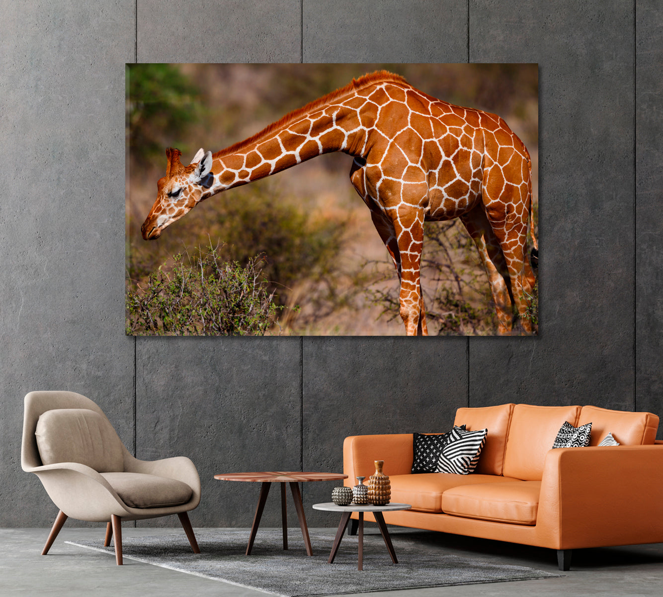 Giraffe in Samburu National Reserve Kenya Canvas Print-Canvas Print-CetArt-1 Panel-24x16 inches-CetArt
