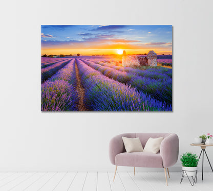 Sunset Over Lavender Field Canvas Print-Canvas Print-CetArt-1 Panel-24x16 inches-CetArt