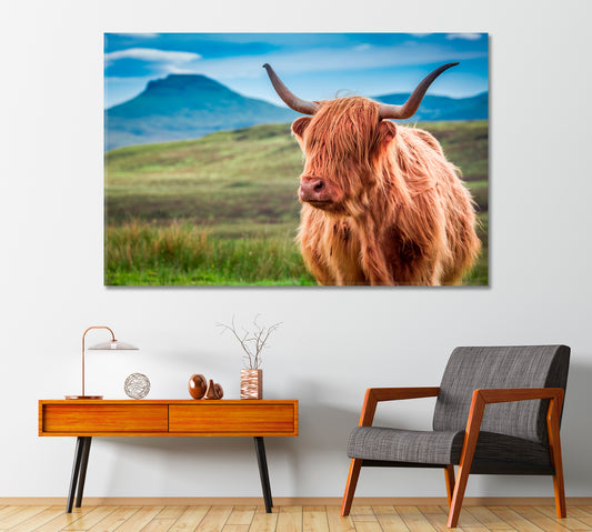 Fluffy Highland Cow Canvas Print-Canvas Print-CetArt-1 Panel-24x16 inches-CetArt