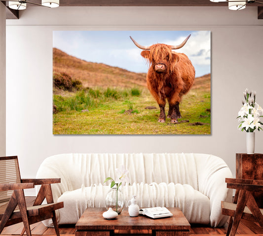 Scottish Highland Cow Canvas Print-Canvas Print-CetArt-1 Panel-24x16 inches-CetArt
