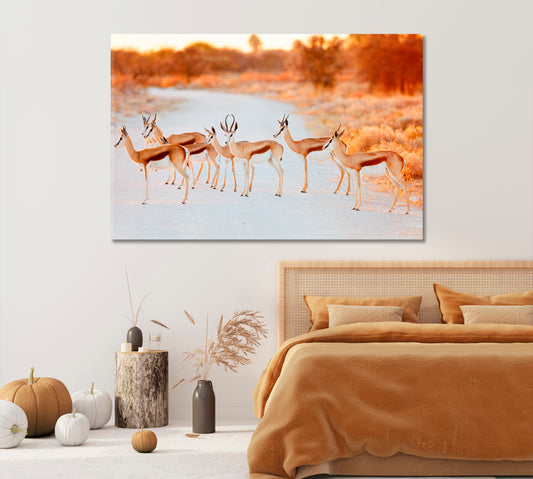 Springbok Herd in Etosha National Park Namibia Canvas Print-Canvas Print-CetArt-1 Panel-24x16 inches-CetArt