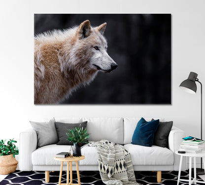Arctic Wolf Canvas Print-Canvas Print-CetArt-1 Panel-24x16 inches-CetArt