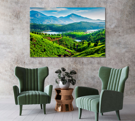 India Tea Plantations Canvas Print-Canvas Print-CetArt-1 Panel-24x16 inches-CetArt