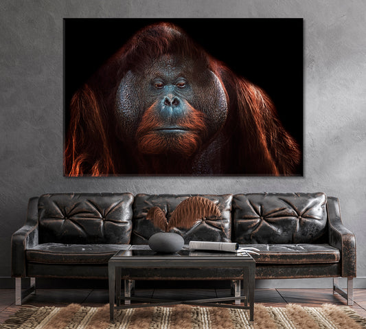 Orangutan Canvas Print-Canvas Print-CetArt-1 Panel-24x16 inches-CetArt
