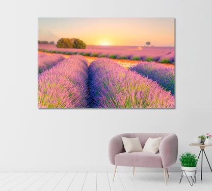 Sunrise over Lavender Fields Provence France Canvas Print-Canvas Print-CetArt-1 Panel-24x16 inches-CetArt