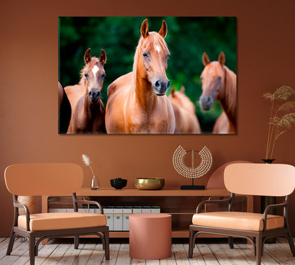 Herd of Arabian Horses Canvas Print-Canvas Print-CetArt-1 Panel-24x16 inches-CetArt