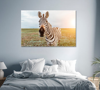 Charming Zebra Face Canvas Print-Canvas Print-CetArt-1 Panel-24x16 inches-CetArt