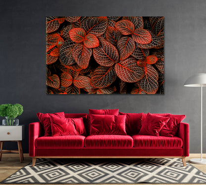 Tropical Red Leaves Fittonia Verschaffeltii Canvas Print-Canvas Print-CetArt-1 Panel-24x16 inches-CetArt