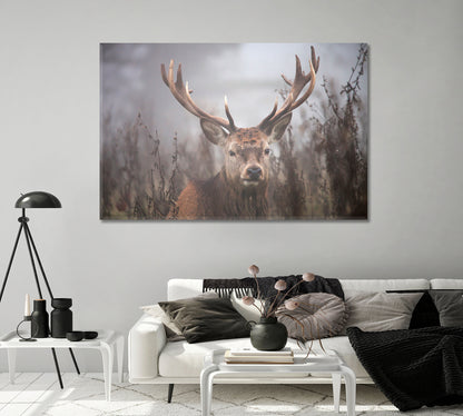 Deer in the Fog Wildlife Canvas Print-Canvas Print-CetArt-1 Panel-24x16 inches-CetArt
