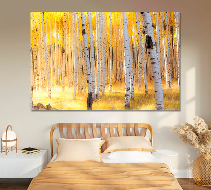 Aspen Trees in Autumn Flagstaff Arizona Canvas Print-Canvas Print-CetArt-1 Panel-24x16 inches-CetArt