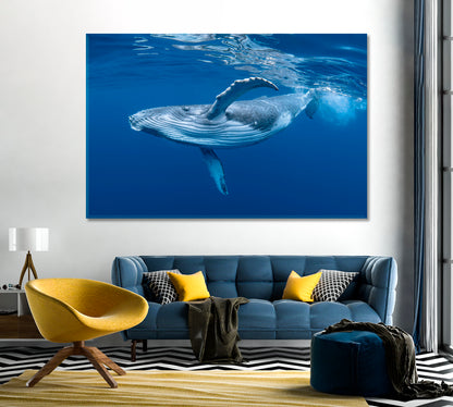 Humpback Whale Cub in Blue Water Canvas Print-Canvas Print-CetArt-1 Panel-24x16 inches-CetArt