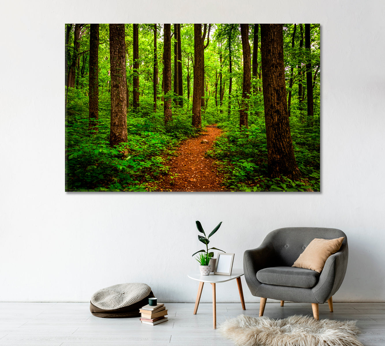 Trail Through Forest Shenandoah National Park Virginia Canvas Print-Canvas Print-CetArt-1 Panel-24x16 inches-CetArt