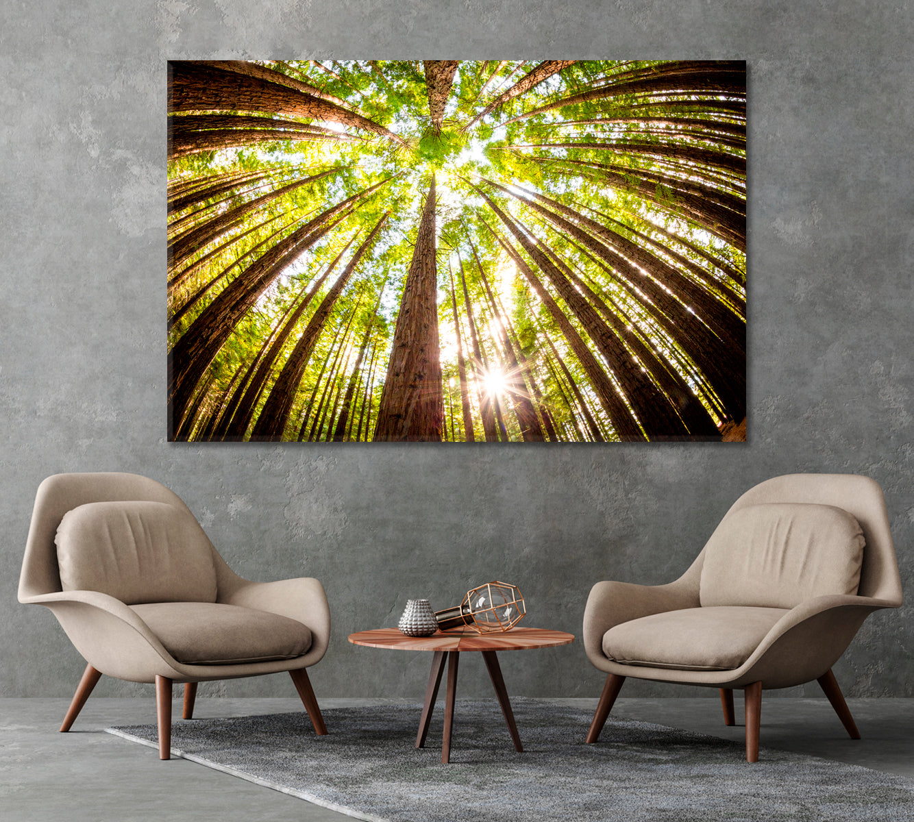 Redwood Plantation Australia Canvas Print-Canvas Print-CetArt-1 Panel-24x16 inches-CetArt