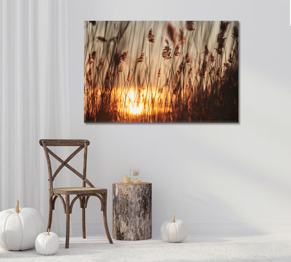 Reeds in Rays of Sun Canvas Print-Canvas Print-CetArt-1 Panel-24x16 inches-CetArt