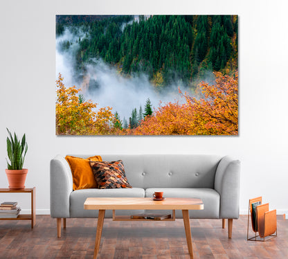 Autumn Forest at Mount Rainier National Park Seattle USA Canvas Print-Canvas Print-CetArt-1 Panel-24x16 inches-CetArt