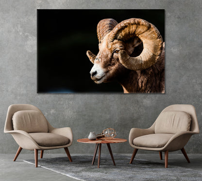 Bighorn Sheep Canvas Print-Canvas Print-CetArt-1 Panel-24x16 inches-CetArt