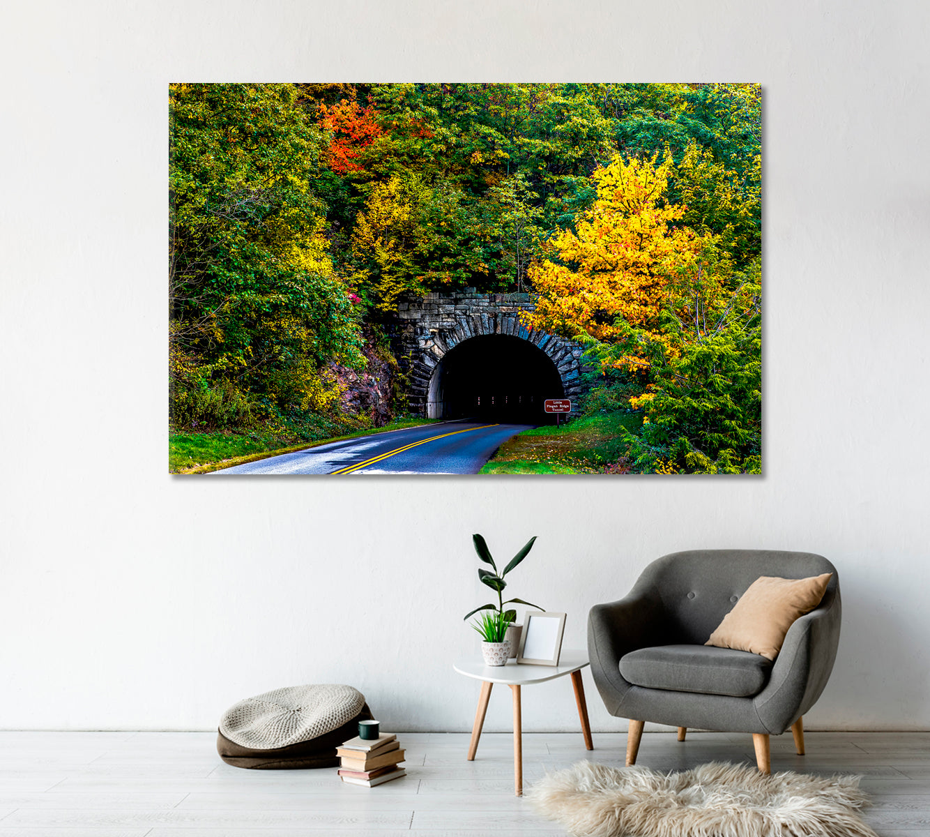 North Carolina Mountain Tunnel Canvas Print-Canvas Print-CetArt-1 Panel-24x16 inches-CetArt