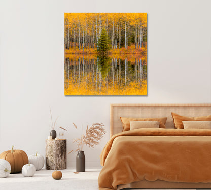 Beautiful Autumn Trees Forest Reflections Canvas Print-Canvas Print-CetArt-1 panel-12x12 inches-CetArt