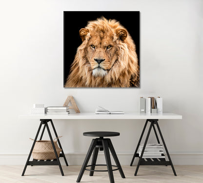 Portrait of Lion Canvas Print-Canvas Print-CetArt-1 panel-12x12 inches-CetArt