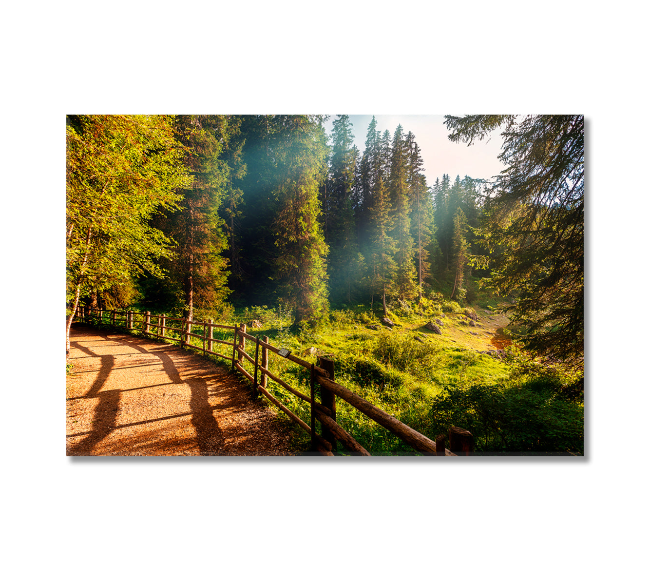 Picturesque Forest in Sunlight Canvas Print-Canvas Print-CetArt-1 Panel-24x16 inches-CetArt