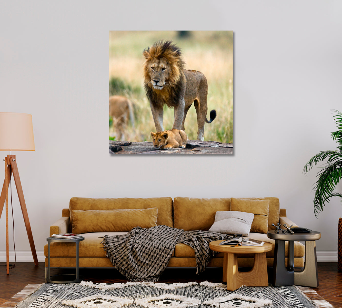 Wild Male Lion with Cub Kenya Canvas Print-Canvas Print-CetArt-1 panel-12x12 inches-CetArt