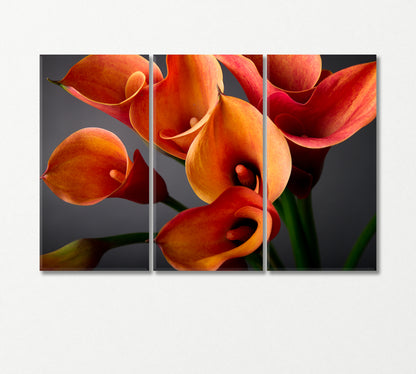 Bouquet of Orange Calla Lilies Canvas Print-Canvas Print-CetArt-3 Panels-36x24 inches-CetArt