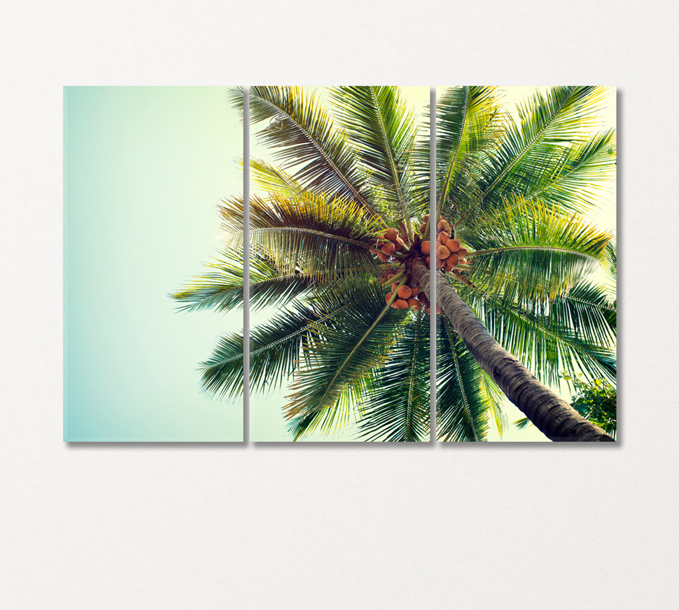 Coconut Palm Canvas Print-Canvas Print-CetArt-3 Panels-36x24 inches-CetArt