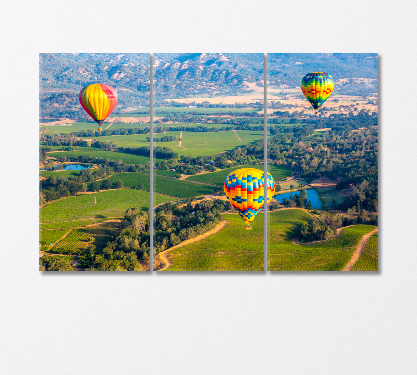 Hot Air Balloon Trip in Napa Valley USA Canvas Print-Canvas Print-CetArt-3 Panels-36x24 inches-CetArt