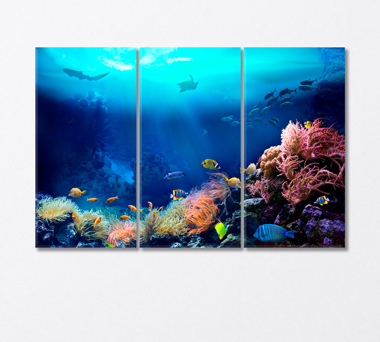 Underwater World Coral Reefs Canvas Print-Canvas Print-CetArt-3 Panels-36x24 inches-CetArt