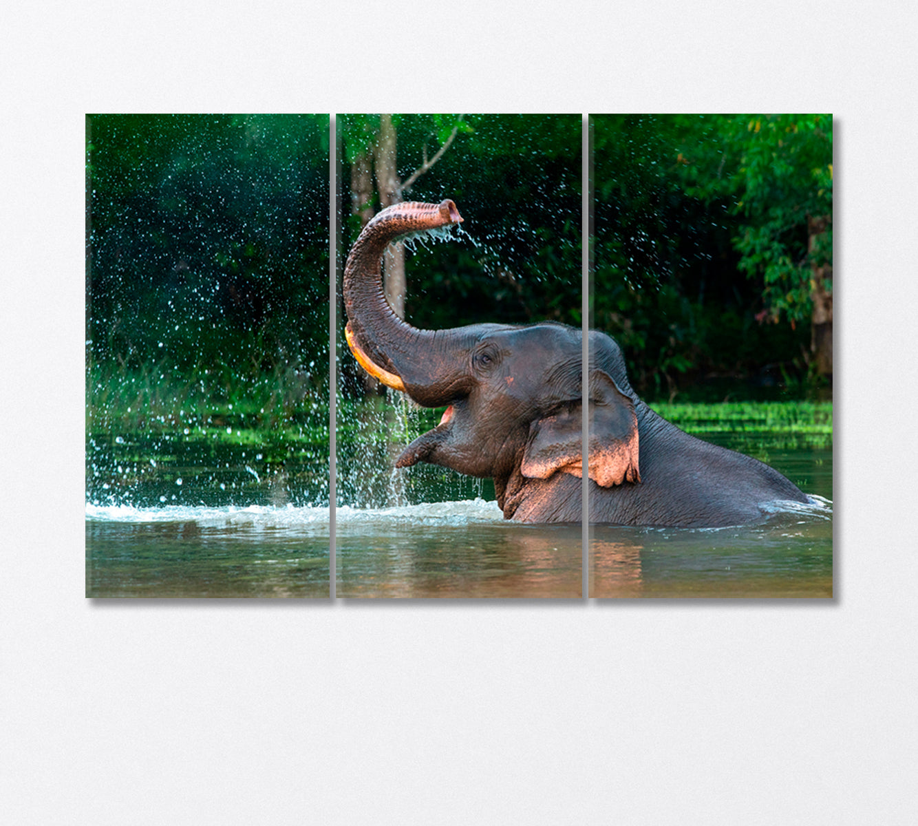 Asian Elephant Enjoying a Bath Canvas Print-Canvas Print-CetArt-3 Panels-36x24 inches-CetArt