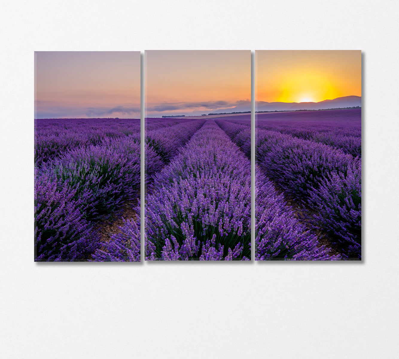 Sunrise in the Lavender Field Canvas Print-Canvas Print-CetArt-3 Panels-36x24 inches-CetArt