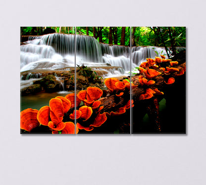 Unusual Orange Mushrooms by the Waterfall Canvas Print-Canvas Print-CetArt-3 Panels-36x24 inches-CetArt