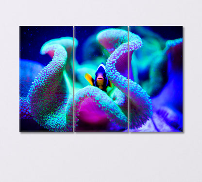 Wonderful Underwater World with Corals and Tropical Fish Canvas Print-Canvas Print-CetArt-3 Panels-36x24 inches-CetArt