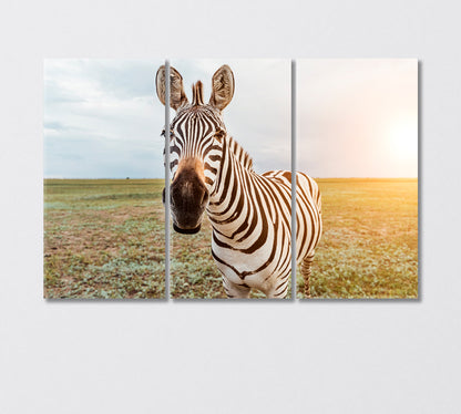 Charming Zebra Face Canvas Print-Canvas Print-CetArt-3 Panels-36x24 inches-CetArt