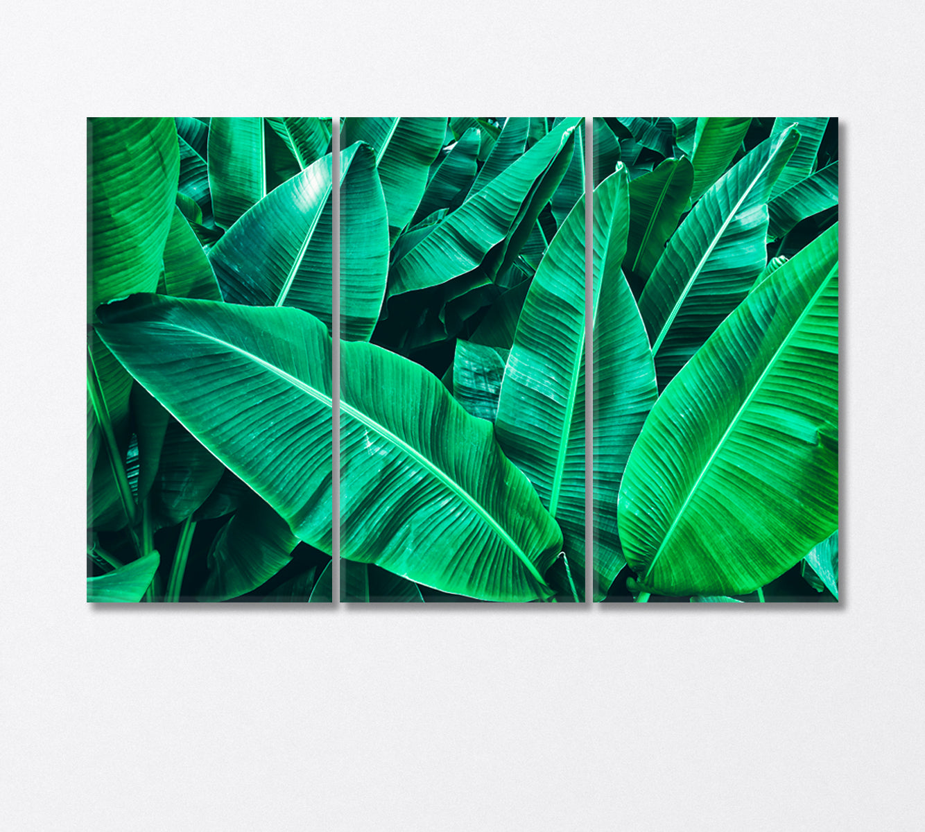 Tropical Banana Leaves Canvas Print-Canvas Print-CetArt-3 Panels-36x24 inches-CetArt