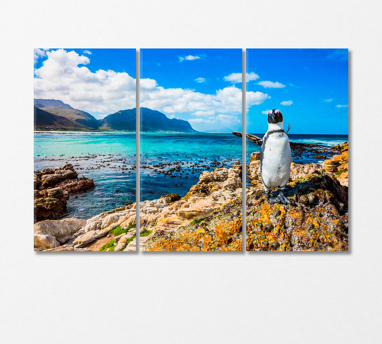 Penguin on Atlantic Ocean Beach Canvas Print-Canvas Print-CetArt-3 Panels-36x24 inches-CetArt