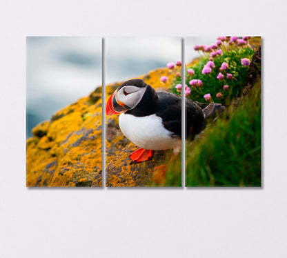 Puffin Seabird Canvas Print-Canvas Print-CetArt-3 Panels-36x24 inches-CetArt