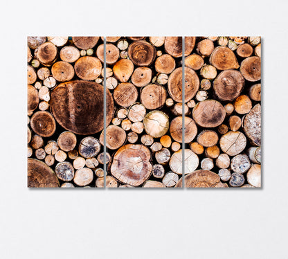 Stunningly Laid Out Cut Logs Canvas Print-Canvas Print-CetArt-3 Panels-36x24 inches-CetArt