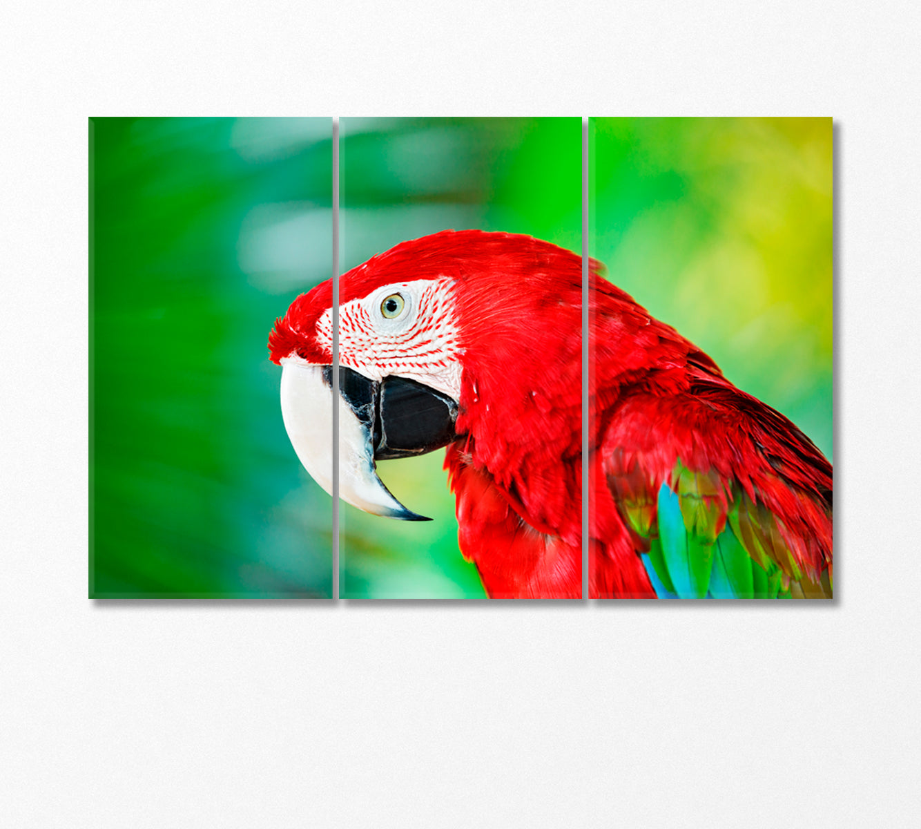 Red Exotic Parrot Macaw Canvas Print-Canvas Print-CetArt-3 Panels-36x24 inches-CetArt