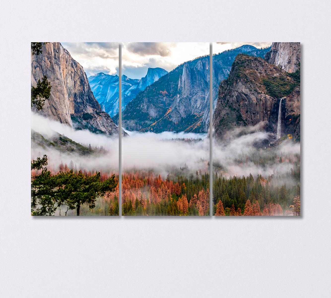Valley of Yosemite National Park California USA Canvas Print-Canvas Print-CetArt-3 Panels-36x24 inches-CetArt