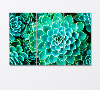Magic Cactus in Botanic Garden Thailand Canvas Print-Canvas Print-CetArt-3 Panels-36x24 inches-CetArt