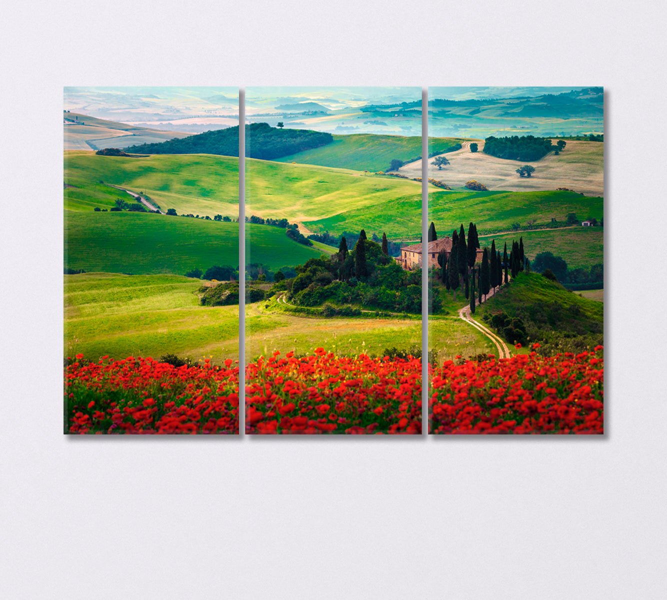 Tuscany with Flower Meadows Italy Canvas Print-Canvas Print-CetArt-3 Panels-36x24 inches-CetArt