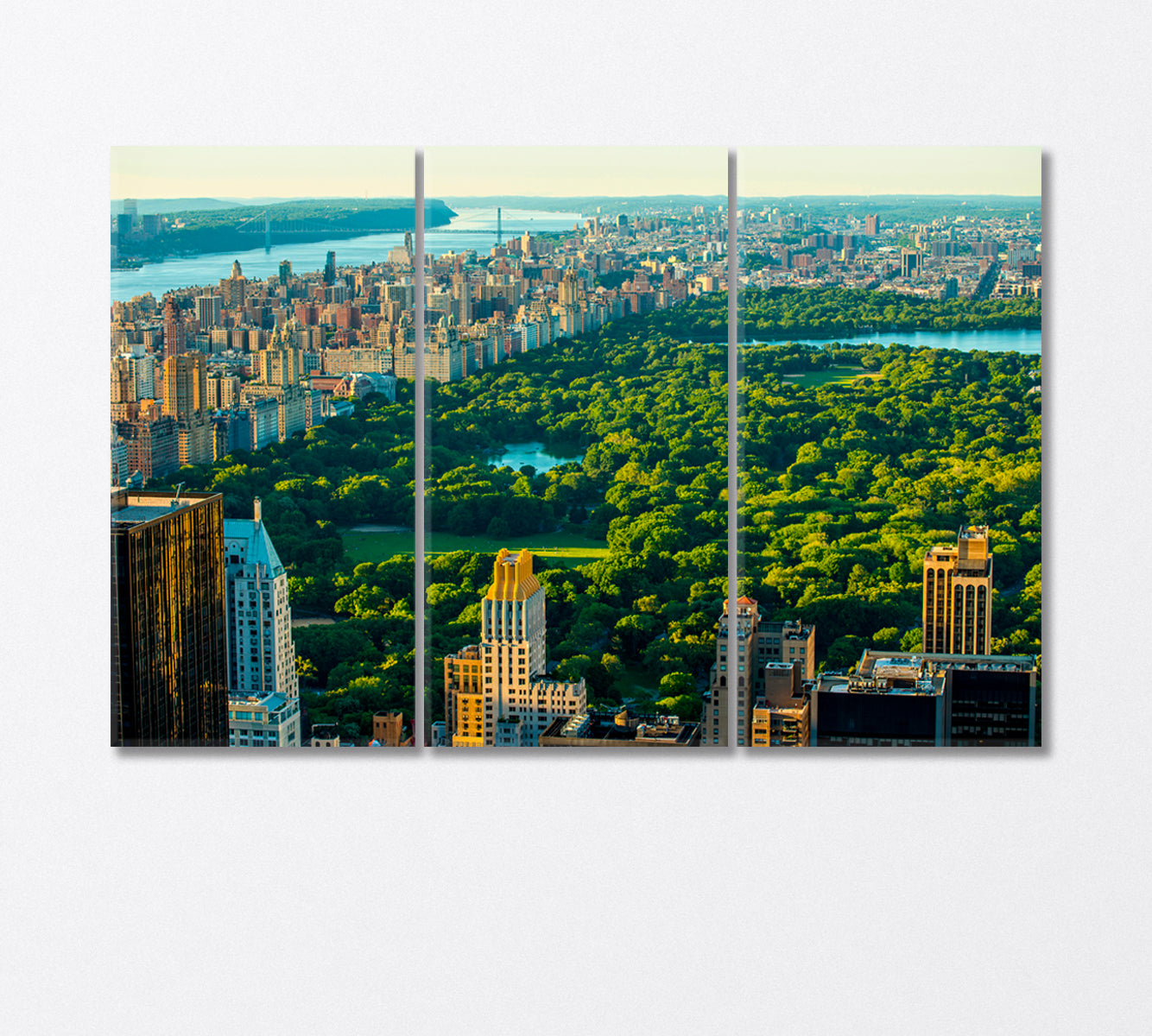 Central Park Manhattan New York Canvas Print-Canvas Print-CetArt-3 Panels-36x24 inches-CetArt