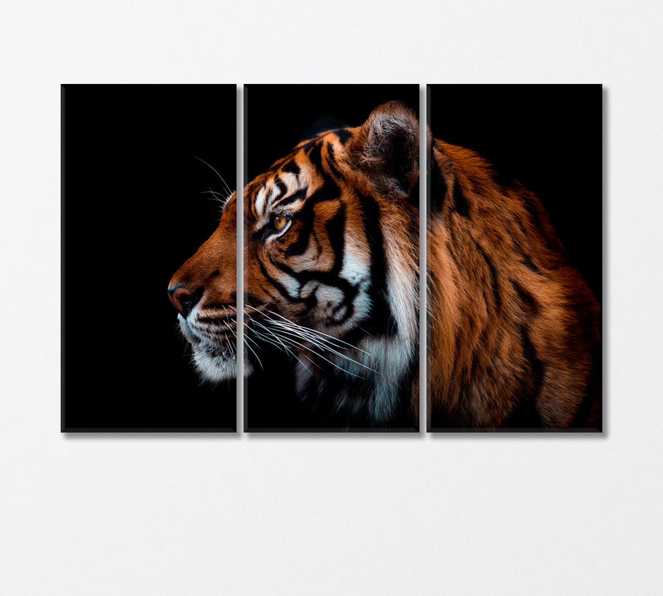 Sumatran Tiger Canvas Print-Canvas Print-CetArt-3 Panels-36x24 inches-CetArt