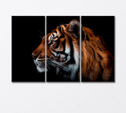 Sumatran Tiger Canvas Print-Canvas Print-CetArt-3 Panels-36x24 inches-CetArt