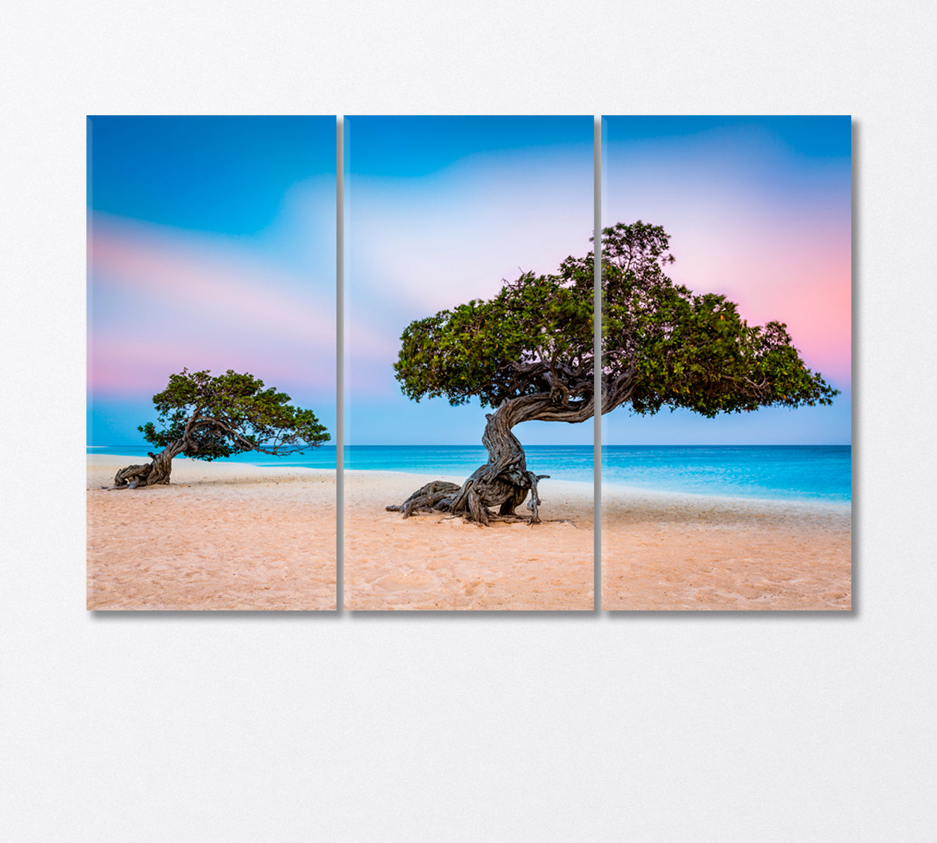 Divi Divi Trees on Eagle Beach Aruba Canvas Print-Canvas Print-CetArt-3 Panels-36x24 inches-CetArt