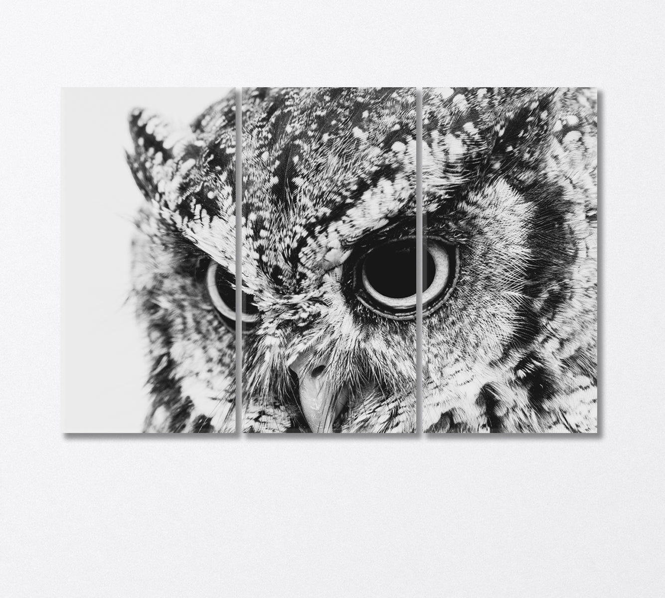 Wild Owl in Black and White Canvas Print-Canvas Print-CetArt-3 Panels-36x24 inches-CetArt