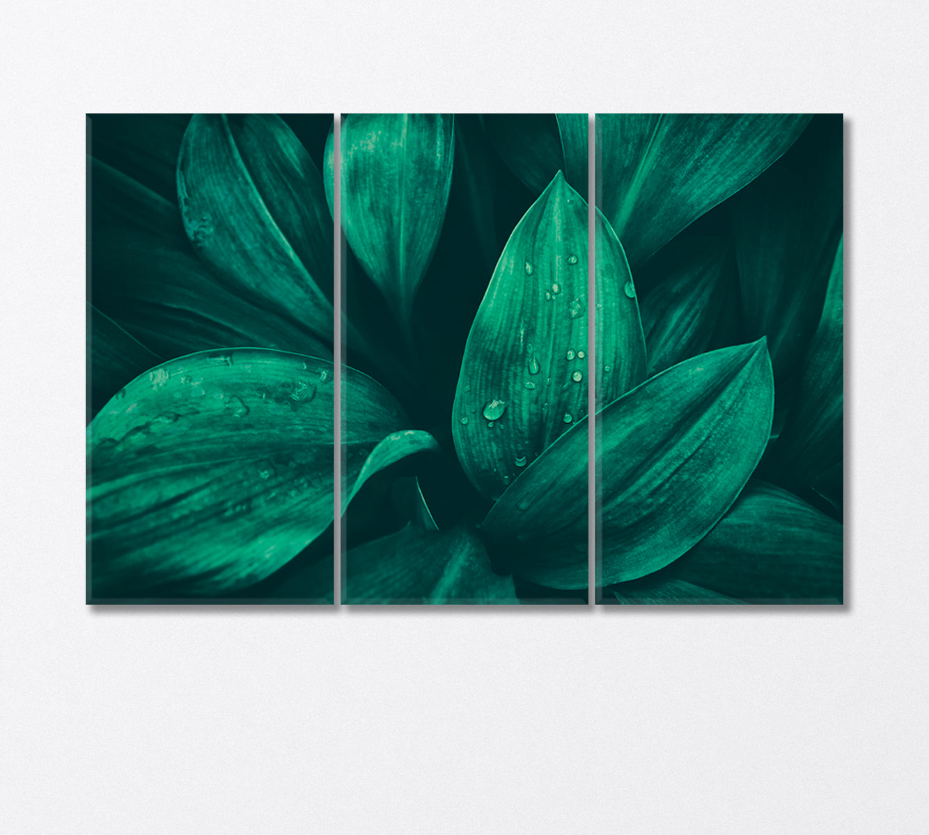 Water Droplets on Green Foliage in Tropical Rainforest Canvas Print-Canvas Print-CetArt-3 Panels-36x24 inches-CetArt
